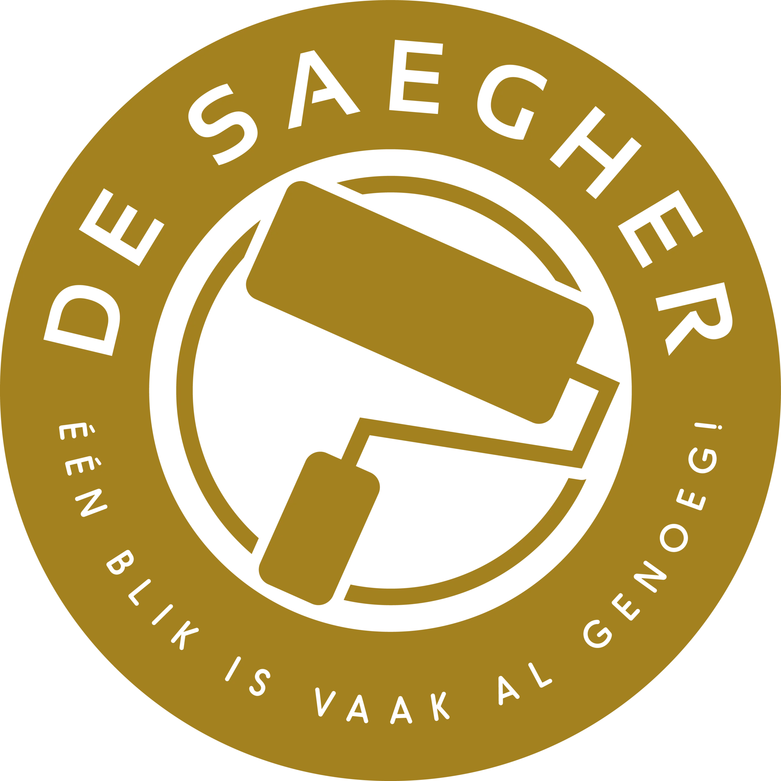 De Saegher Schilderwerken BV - logo
